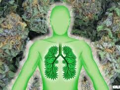 cannabis-sante-poumons