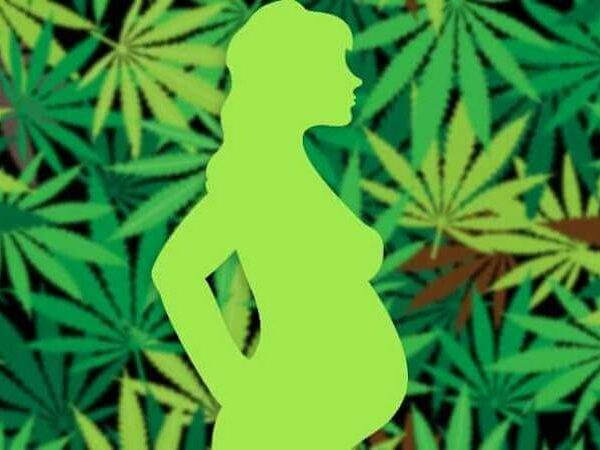 cannabis-femme-enceinte