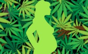 cannabis-femme-enceinte