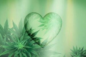 cœur et cannabis
