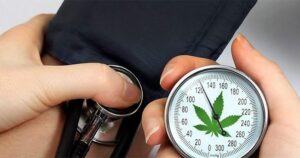 hypertension-cannabis