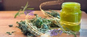 pot-de-crème-et-cannabis
