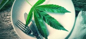 Cannabis dans l'assiette