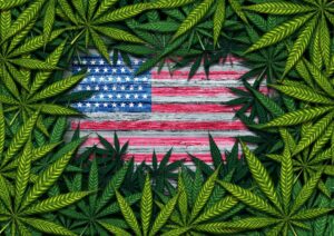 Cannabis-USA