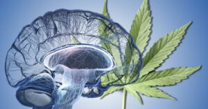neurones-cerveau-cannabis