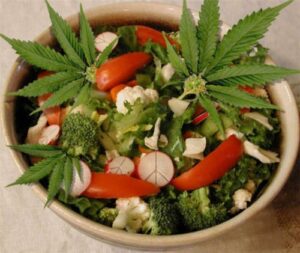 salade avec cannabis