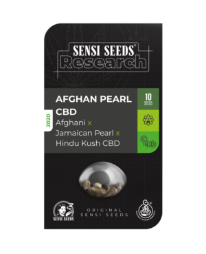 afghan-pearl-cbd-automatic-xl-3