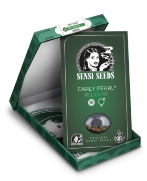 early-pearl-xl-5
