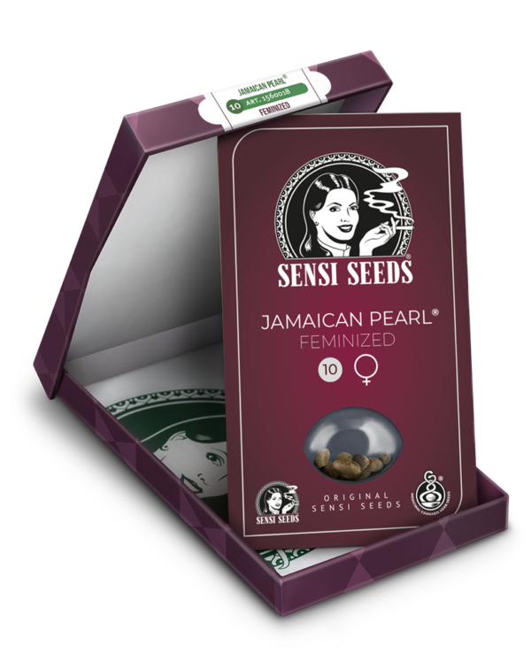 jamaican-pearl-femelle-xl-5
